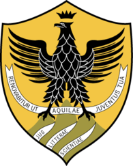 Department of Industrial and Information Engineering and Economics - University of L'Aquila